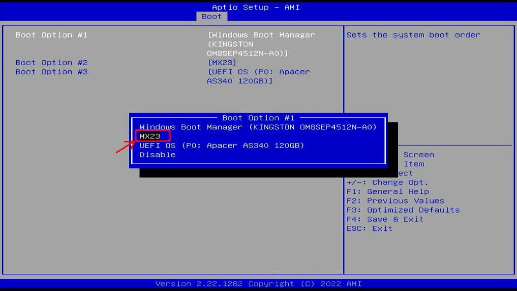 BIOS-Boot Option#1