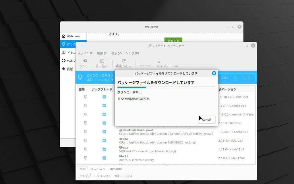 アップデートマネージャー ダウンロード