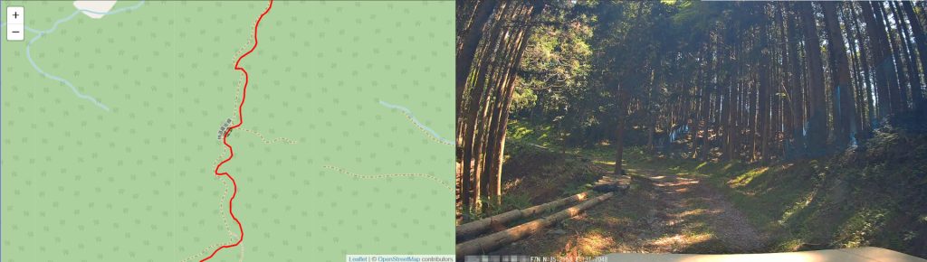 林道霧坂線11
